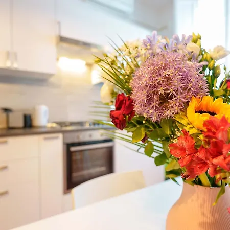 דירה Zamboni 58 Apartment By Lesdomus - Zona Movida