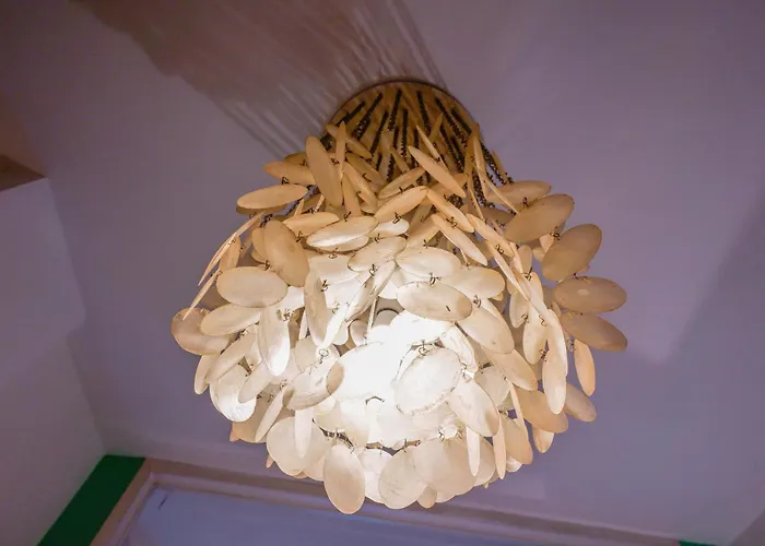 Zamboni 58 By Lesdomus - Zona Movida