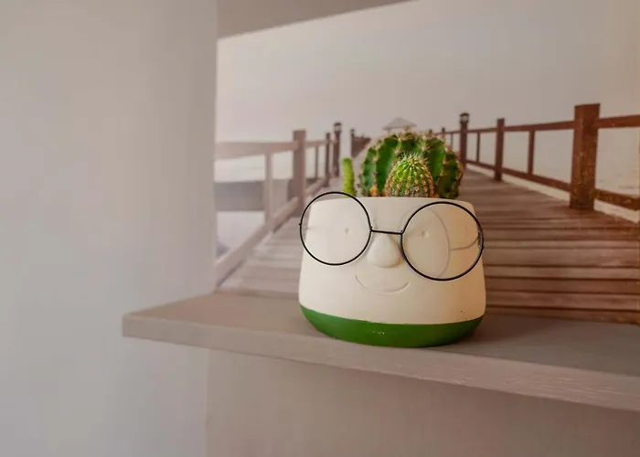 Zamboni 58 By Lesdomus - Zona Movida