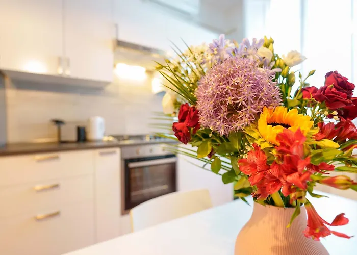 公寓 Zamboni 58 By Lesdomus - Zona Movida