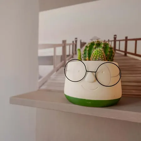 Zamboni 58 By Lesdomus - Zona Movida